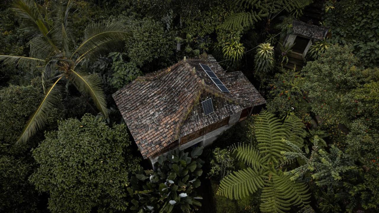Kebun Kita Eco Lodge Padangan  エクステリア 写真