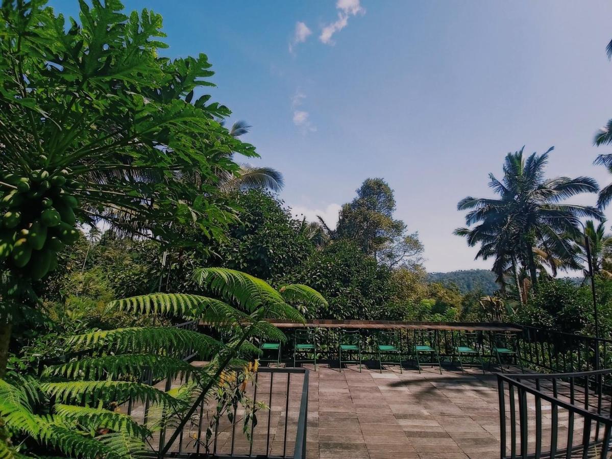 Kebun Kita Eco Lodge Padangan  エクステリア 写真