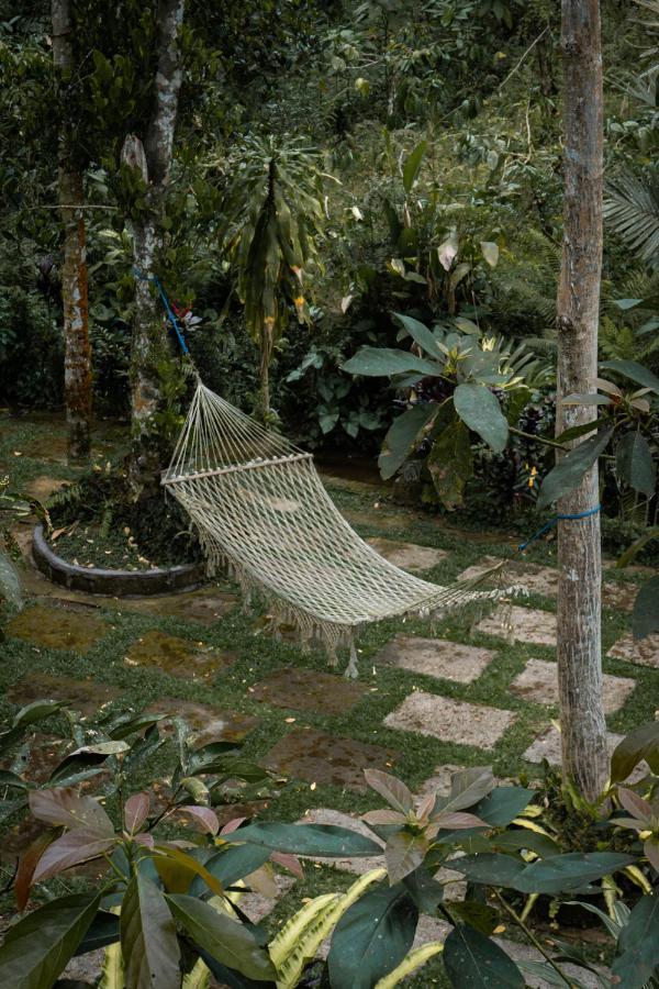 Kebun Kita Eco Lodge Padangan  エクステリア 写真