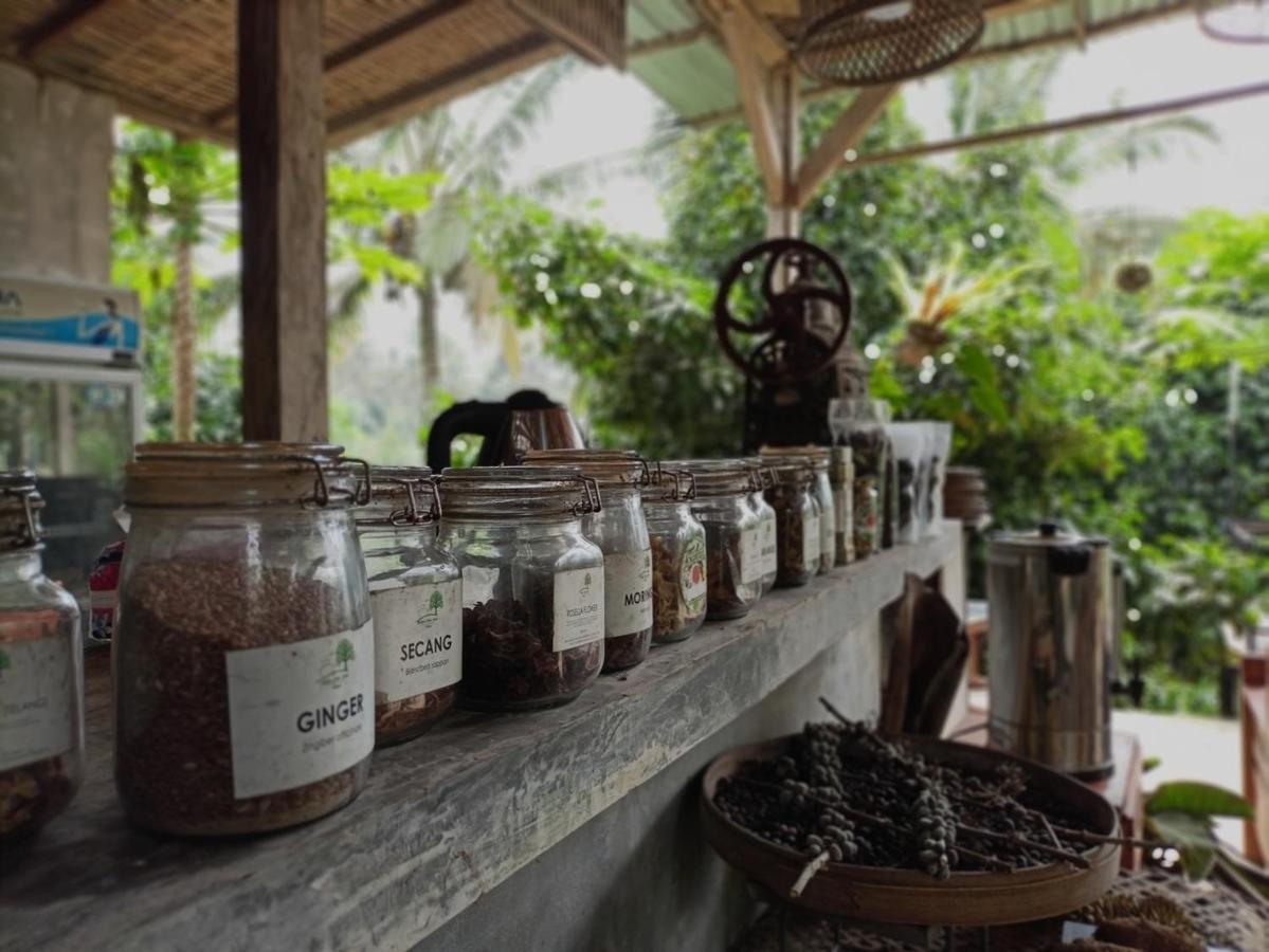 Kebun Kita Eco Lodge Padangan  エクステリア 写真