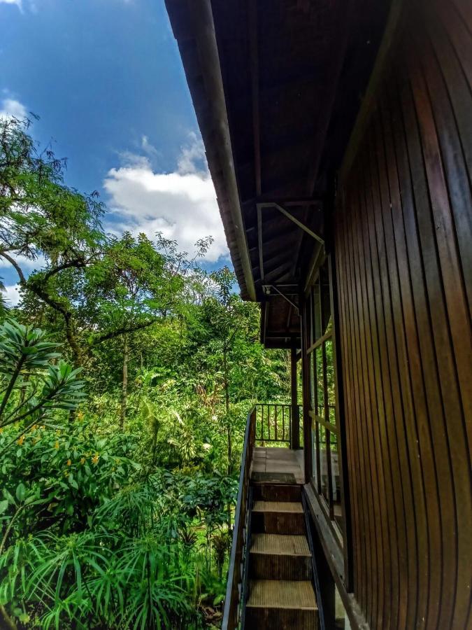 Kebun Kita Eco Lodge Padangan  エクステリア 写真
