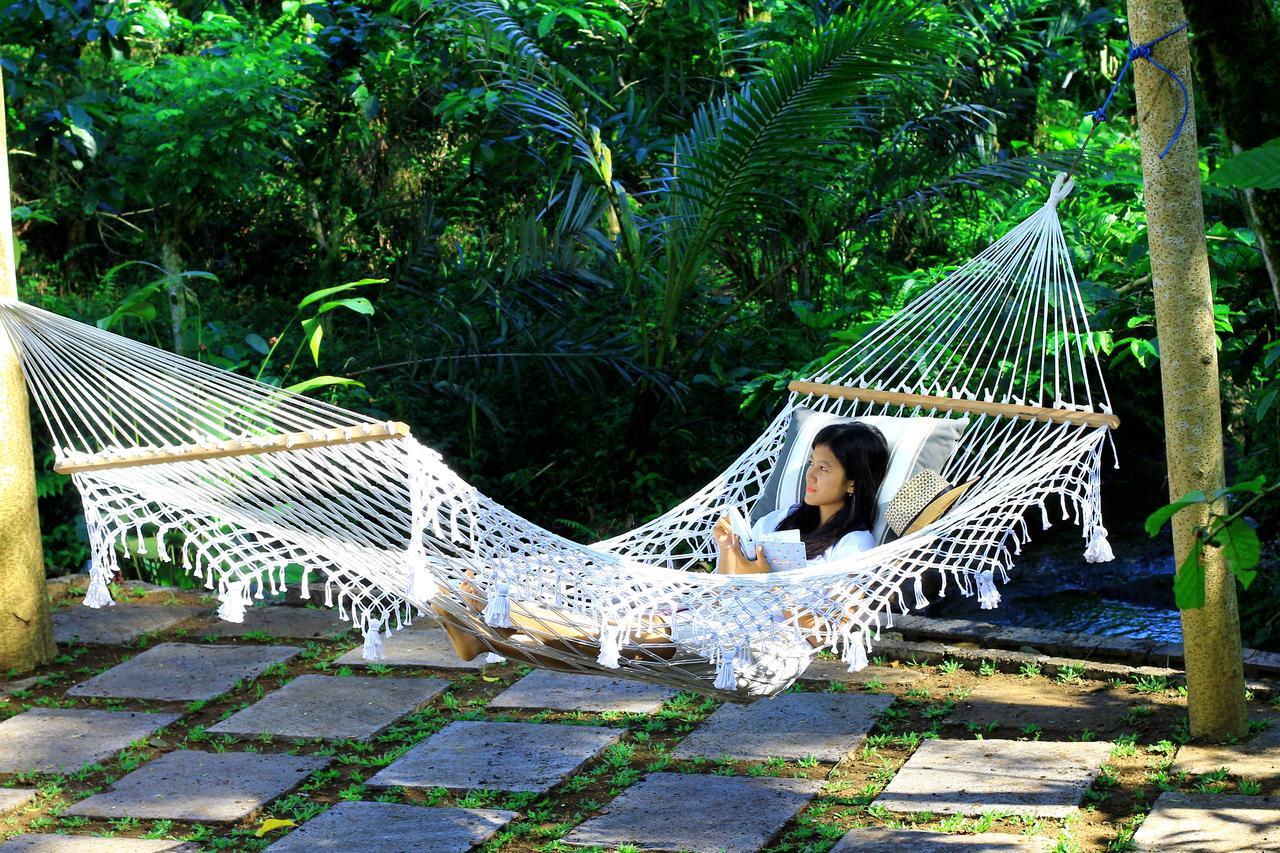 Kebun Kita Eco Lodge Padangan  エクステリア 写真