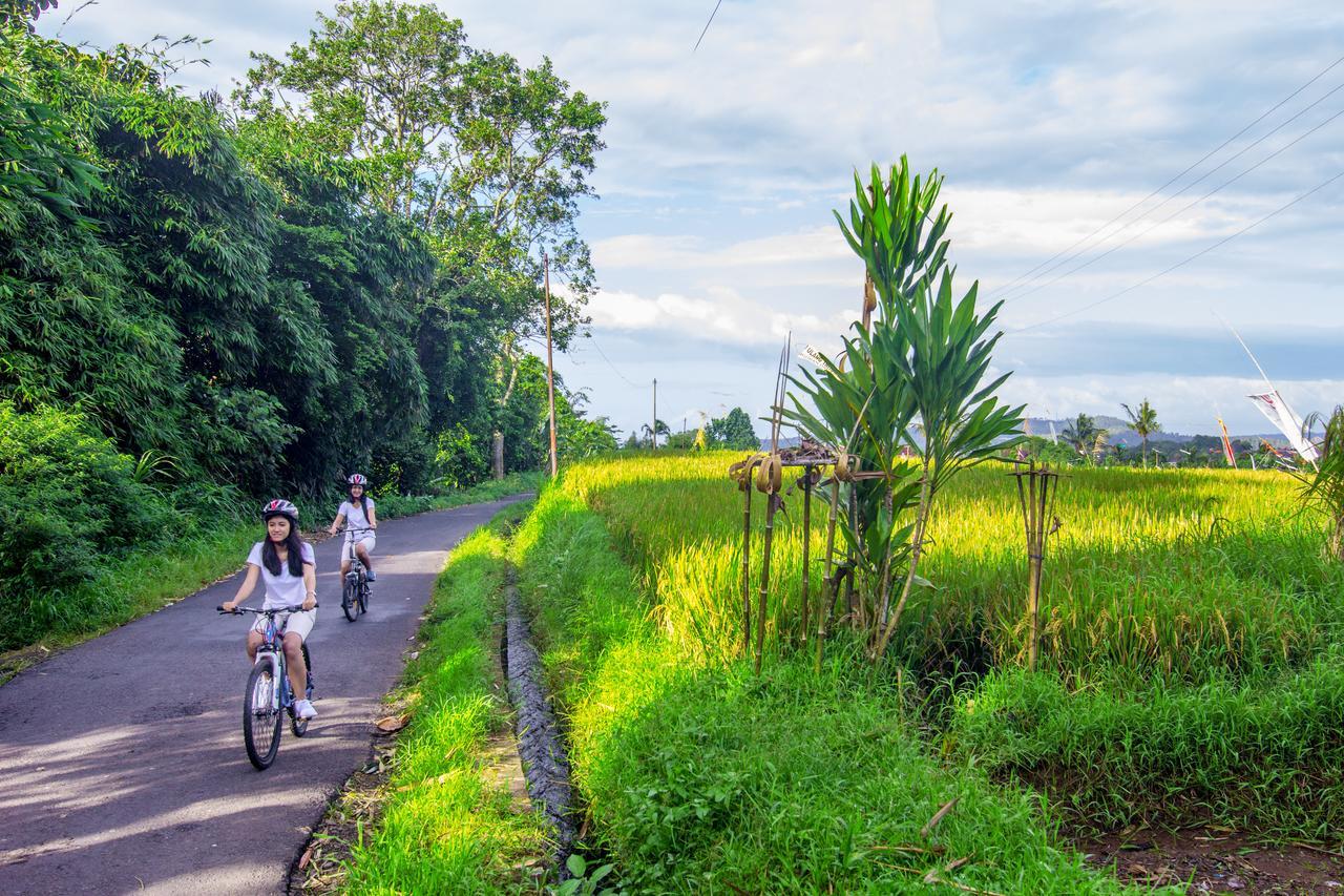 Kebun Kita Eco Lodge Padangan  エクステリア 写真